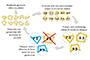 The interactive evolutionary algorithm, which incorporates designer input.