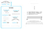 Examples of internal organization and properties of structural shape objects.